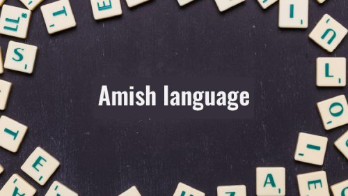 An Overview of Amish Language - Universal Translation Services